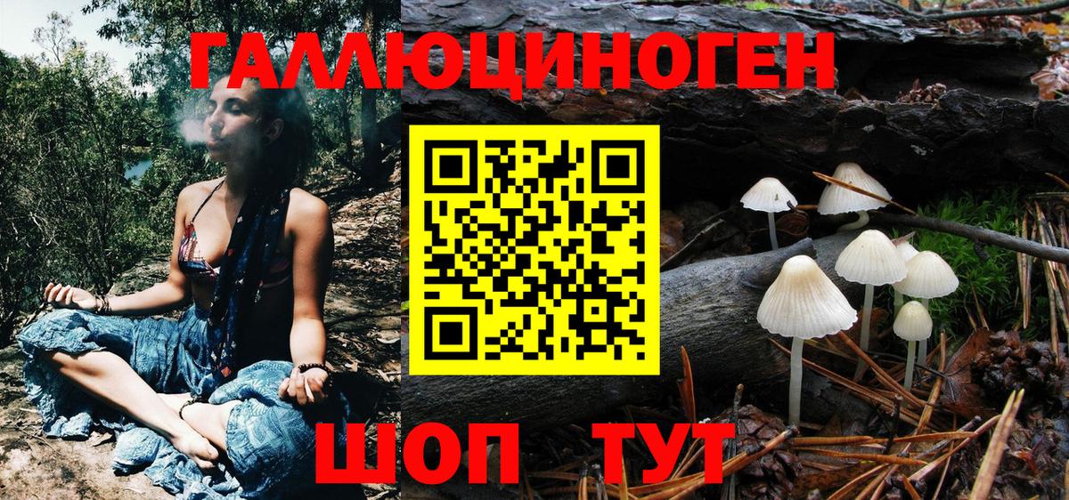 Кропоткин  Галлюциногенные грибы прущие грибы  Вход с VPN 