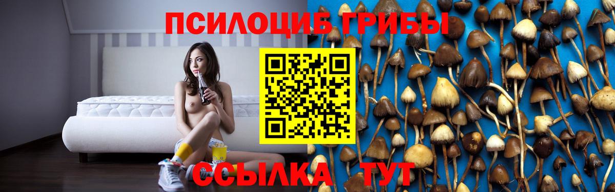 Псилоцибиновые грибы ЛСД Кропоткин